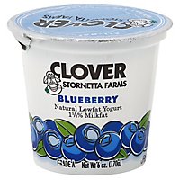 Clover Yogurt Lf Blueberry - 6 Oz - Image 1