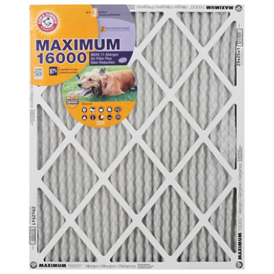 A&H Max Odor Filter 20x25x1 - Each