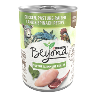 Purina Beyond Grain Free Chicken Lamb And Spinach Dog Wet Food - 13 Oz - Image 1