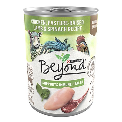 Beyond Grain Free Chicken Lamb & Spinach Wet Dog Food - 13 Oz