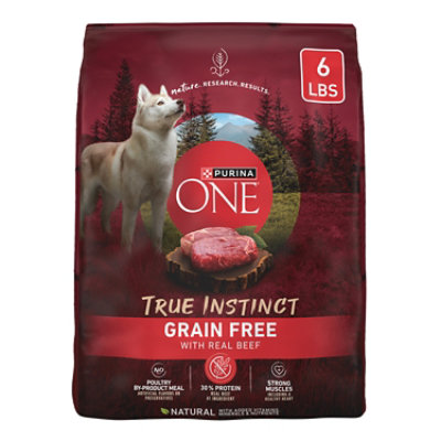 Purina ONE Smartblend Beef Dry Dog Food - 6 Lb - Image 1