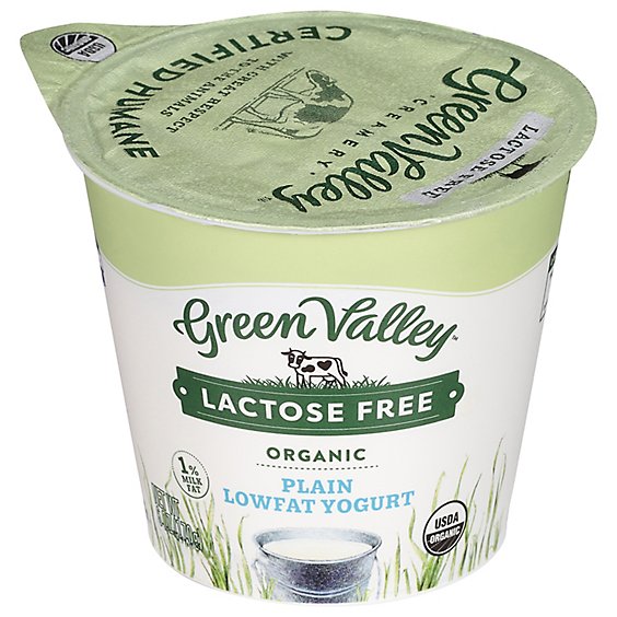 Green Valley Organics Lactose Free Plain Yogurt - 6 Oz