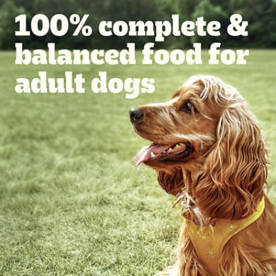Pedigree Choice Cuts In Gravy Dog Food Variety Pack - 63 Oz - Image 3