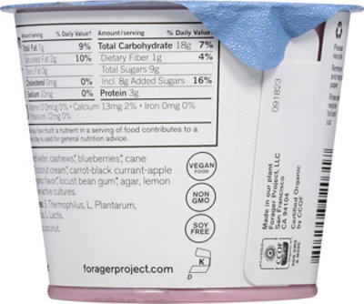 Forager Project Organic Yogurt Alternative Cashewmilk Dairy Free Blueberry - 5.3 Oz - Image 5