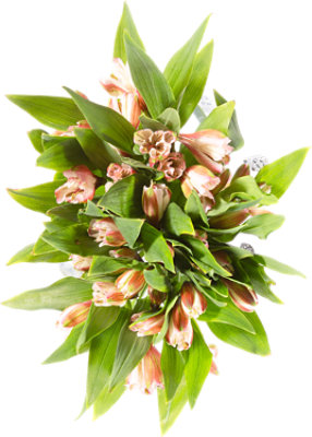Alstroemeria Warm - Each (colors may vary) - Image 1