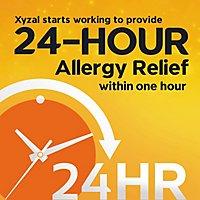XYZAL Allergy Antihistamine Tablets 24 Hr Original Prescription Strength 5 mg - 35 Count - Image 3