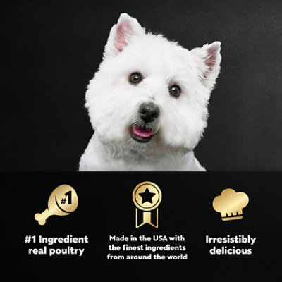 Cesar Classic Loaf in Sauce Poultry Soft Wet Dog Food Variety Pack 24 Count - 3.5 Oz - Image 3