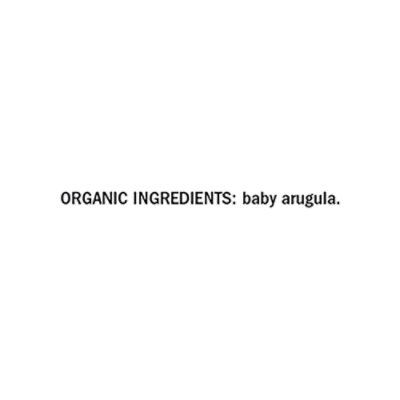 organicgirl Baby Arugula - 5 Oz. - Safeway