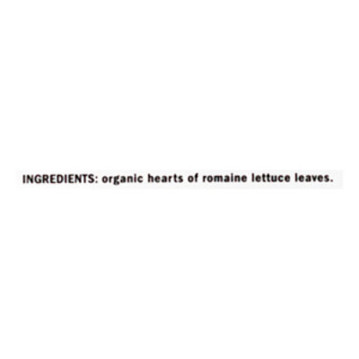 organicgirl Organic Romaine Leaves True Hearts Washed - 7 Oz - Image 5