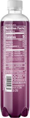 Sparkling Ice Grape Raspberry Sparkling Water 17 fl. oz. Bottle - Image 7