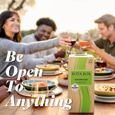 Bota Mini Saivugnon Blanc Wine - 500 Ml - Image 7