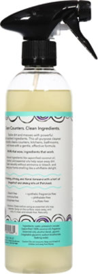 Zum Counter Cleaner Sea Salt - 16 Fl. Oz. - Image 5