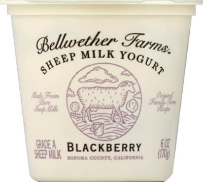 Bellwether Farms Yogurt Sheep Milk Blackberry - 6 Oz - Image 2