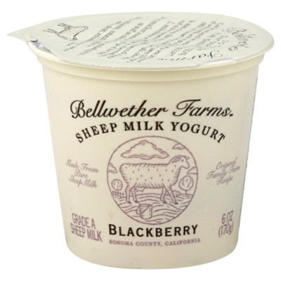 Bellwether Farms Yogurt Sheep Milk Blackberry - 6 Oz - Image 1