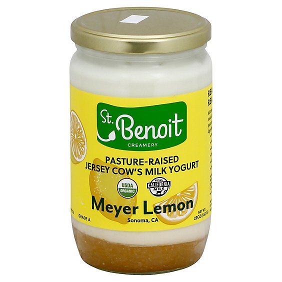 Benoit Meyer Lemon Yogurt - 23 Oz