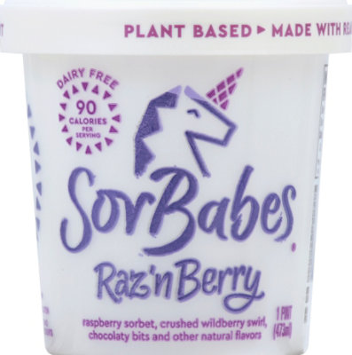 Sorbabes Gourmet Sorbet Raspberry With Dark Chocolate - 1 Pint - Image 2