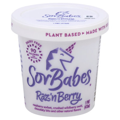 Sorbabes Gourmet Sorbet Raspberry With Dark Chocolate - 1 Pint