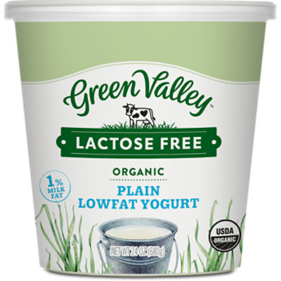 Green Valley Creamery Lactose Free Organic Lowfat Plain Yogurt - 24 Oz - Image 1