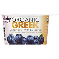 Wallaby Organic Blueberry Low Fat Greek Yogurt - 5.3 Oz - Image 2