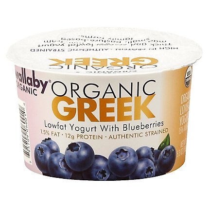 Wallaby Organic Blueberry Low Fat Greek Yogurt - 5.3 Oz - Image 1