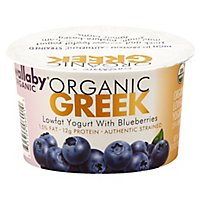 Wallaby Organic Blueberry Low Fat Greek Yogurt - 5.3 Oz - Image 1