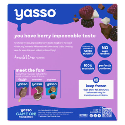 Yasso Frozen Yogurt Greek Bars Black Raspberry Chip - 4-3.5 Fl. Oz. - Image 6