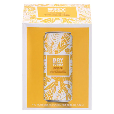 Dry Soda Ginger - 4-12 Fl. Oz. - Image 3