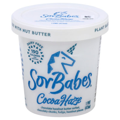 Sorbabes Premium Chocolate Hazelnut Fudge Bits & Swirls - 1 Pint