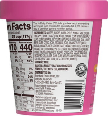 Baskin Robbins Sherbet Rainbow - 14 Fl. Oz. - Image 6