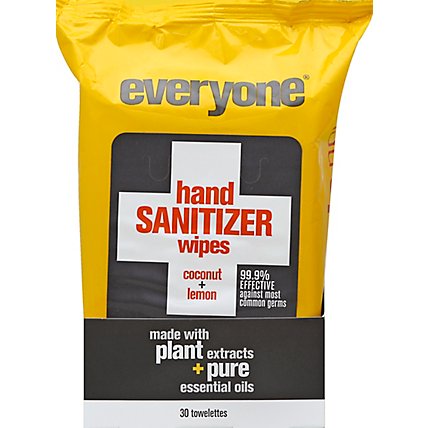 Everyone Sanitizer Hand Wps Ccnt L - 30 Count - Image 2