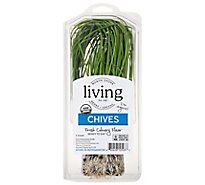 North Shore Chives Organic - Each