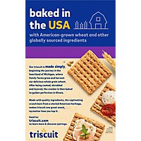 Triscuit Crackers Balsamic Vinegar & Basil - 8.5 Oz - Image 6