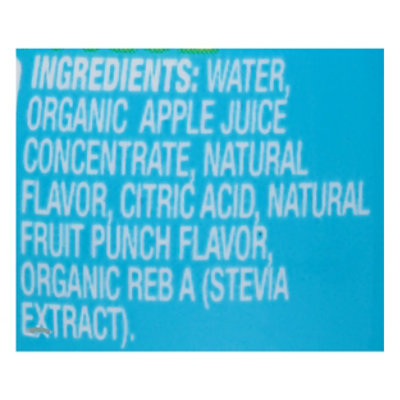 good2grow Juicy Waters Organic Fruit Punch - 6 Fl. Oz. - Image 5