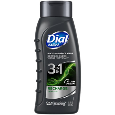 Dial Men Recharge 3in1 Body - Hair - Face Wash - 16 Fl. Oz. - Image 1