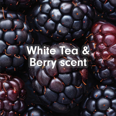 Softsoap Antibacterial Liquid Hand Soap Pump White Tea and Berry - 11.25 Fl. Oz. - Image 1