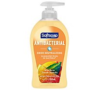 Softsoap Antibacterial Liquid Hand Soap Pump Kitchen Fresh Hands - 11.25 Fl. Oz.
