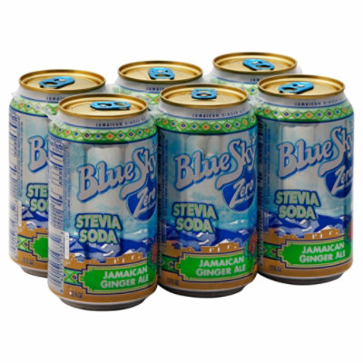 Blue Sky Soda Zero Sugar Ginger Ale Can - 12 Fl. Oz.