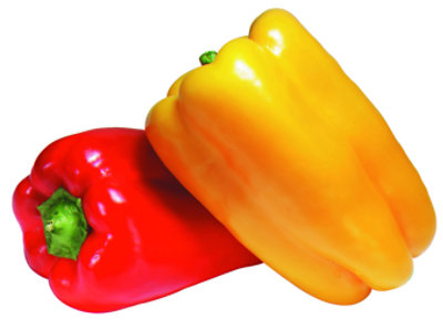 Peppers Bell Organic Prepacked - 2 Count