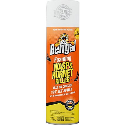 Bengal Wasp Hornet Killer - 18 Oz - Image 2