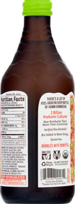 Humm Kombucha Organic Hopped Grapefruit - 14 Fl. Oz. - Image 6