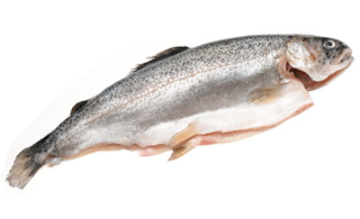 Seafood Counter Fish Trout Boned Dressed - 1.00 LB