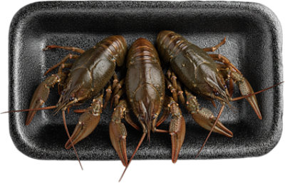 Seafood Service Counter Crawfish Live - 2.00 LB - Image 1