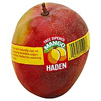 Mangos Haden Tree Ripened - Image 1