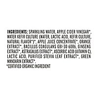 KeVita Ginseng Mandarin Apple Cider Vinegar Tonic - 15.2 Fl. Oz. - Image 5