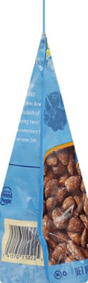 Blue Diamond Almonds Bold Salt N Vinegar Bag - 16 Oz - Image 2