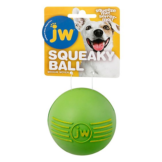 JW Pet Isqueak Ball Medium - Each
