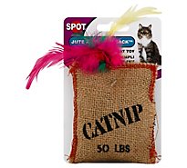 SPOT Cat Toy Jute & Feather Sack With Catnip Card - Each