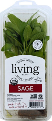 North Shore Sage Organic - Image 2