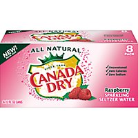 Canada Dry Seltzer Water Sparkling Raspberry - 8-12 Fl. Oz. - Image 1