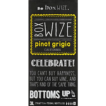 Box Wize Pinot Grigio Wine - 3 Liter - Image 2